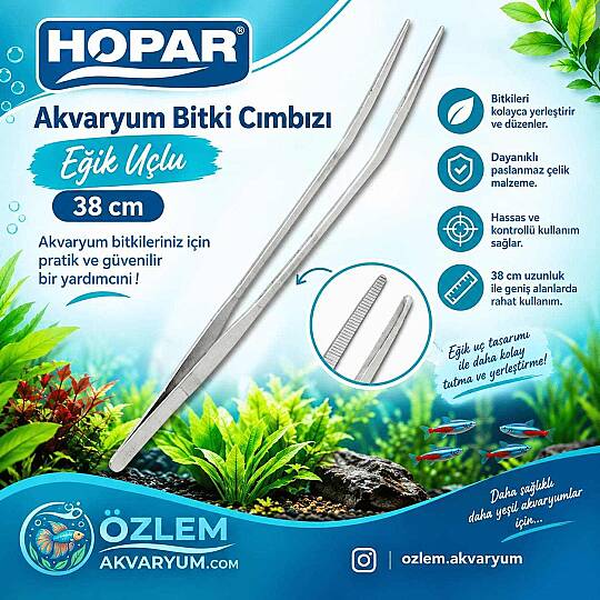 Akvaryum Bitki Cımbızı Eğik Uçlu 38 cm