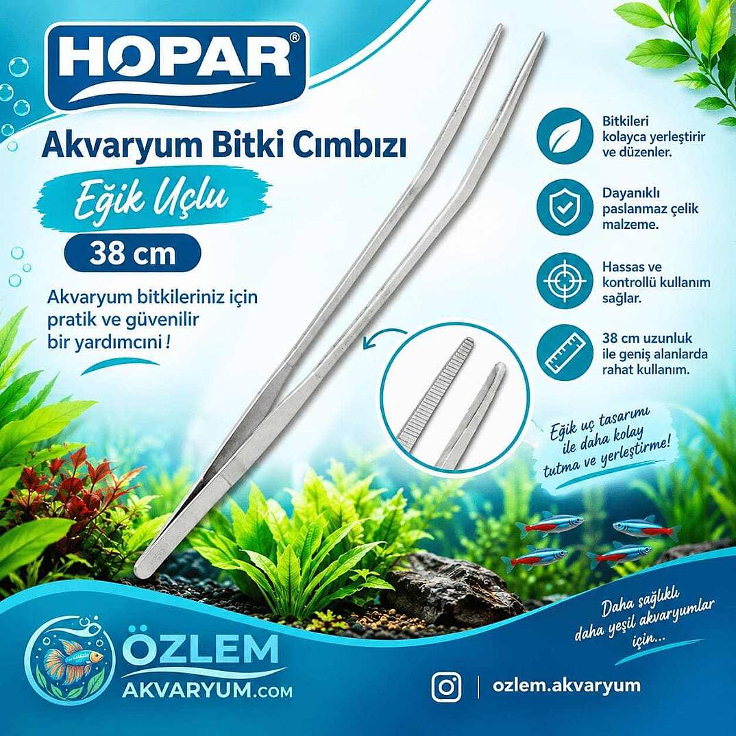 Akvaryum Bitki Cımbızı Eğik Uçlu 38 cm - 1