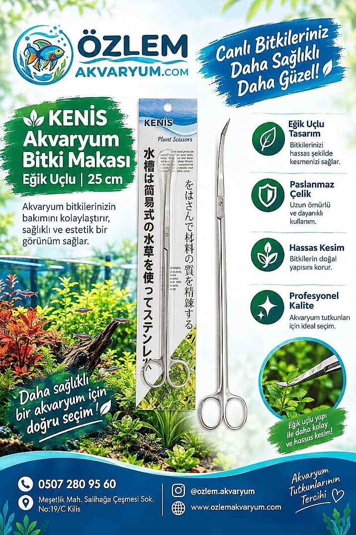 Akvaryum Bitki Makası Eğik Uçlu 25 cm - 1