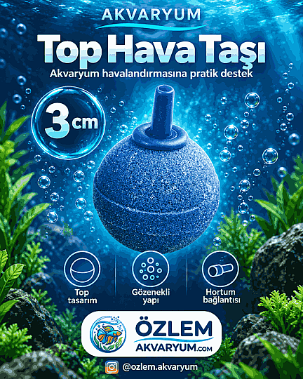 Akvaryum Top Hava Taşı 3 cm