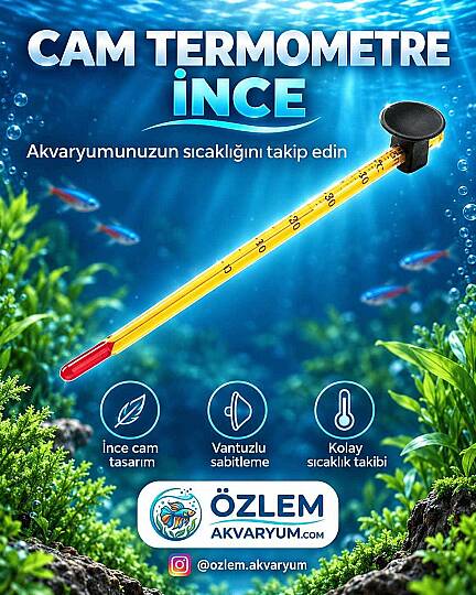CAM TERMOMETRE İNCE