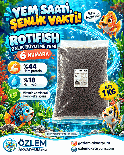 ROTIFISH Balık Büyütme Yemi 6 Numara – 1 kg
