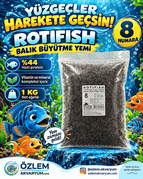 ROTIFISH Balık Büyütme Yemi 8 Numara – 1 kg - 1