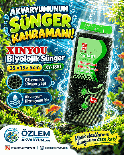 Xinyou Biyolojik Sünger 35 × 15 × 5 cm | XY-1881