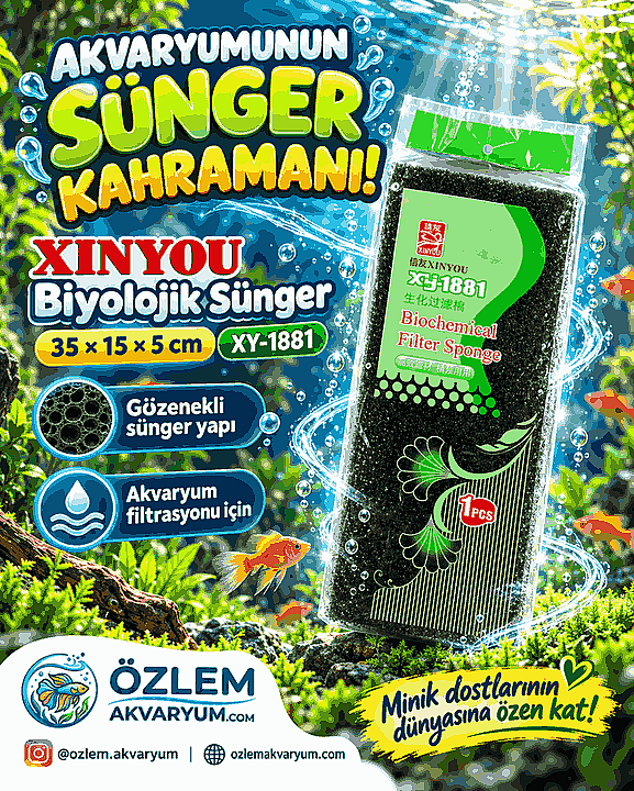 Xinyou Biyolojik Sünger 35 × 15 × 5 cm | XY-1881 - 1