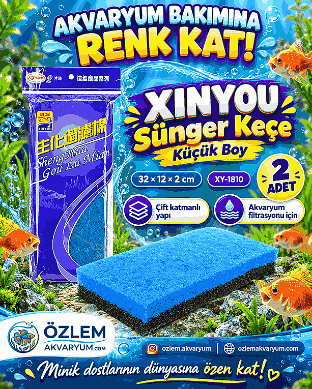 Xinyou Sünger Keçe Küçük Boy 32 × 12 × 2 cm – 2 Adet | XY-1810 - 1